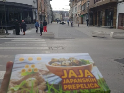 JAJA OD PREPELICE