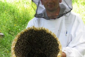 Pčelarstvo