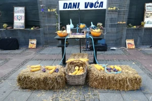 Dani voća