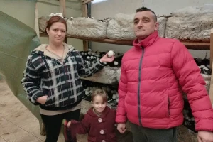 Šakanovići ustrajali u proizvodnji šampinjona - danas su uspješni