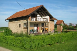 Pčele u kući