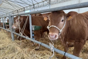 AgriUmbria 2026