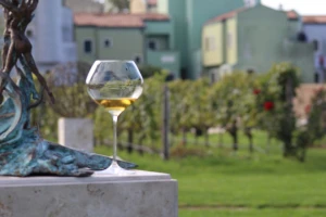 Vinarija Venissa tek nekoliko centimetara nad morem