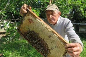 Ivo Banovčić