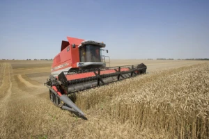 Kombajn Massey Ferguson Kombajni MF Delta