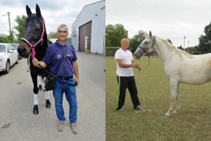 Uzgoj konja i jahanje čuvaju od zaborava