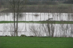 Poplave dovode u pitanje proljetnu sjetvu u desetak gradiških sela