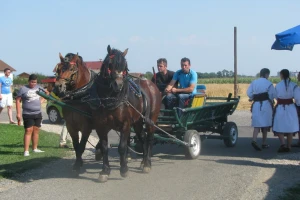 Rogoljska žetva