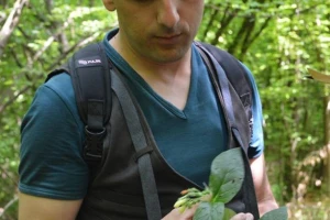 Popis bilja parka "Ravne 2" u dolini piramida