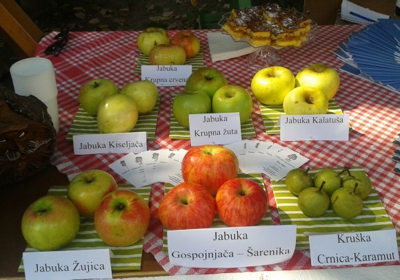brojne sorte jabuka