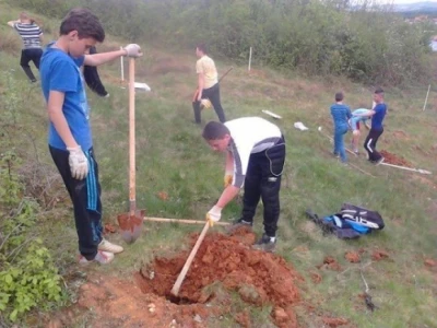 sadnja oraha