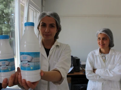Donaći jogurt se može kupiti na farmi