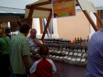 10. Dani pčelarstva, voćarstva i našeg sela u Novom Gradu