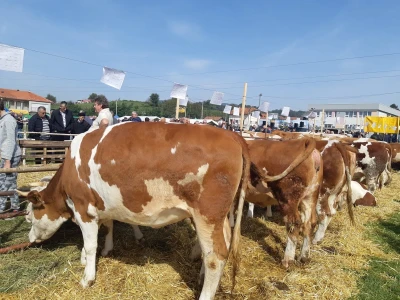 11. izložba stočarstva i ruralno stvaralaštva "Gračanica - Doboj Istok 2022"