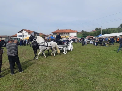 11. izložba stočarstva i ruralno stvaralaštva "Gračanica - Doboj Istok 2022"