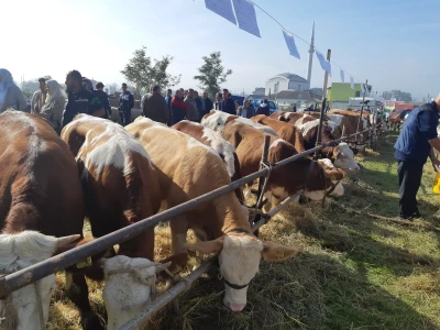 11. izložba stočarstva i ruralno stvaralaštva "Gračanica - Doboj Istok 2022"