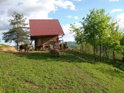 Mali farmer - ideja postala najbolji biznis plan