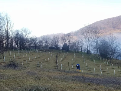 Lješnjak i orašasti plodovi su kulture nove generacije
