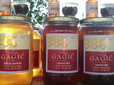 Pčelinjak Gagić
