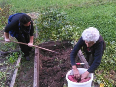 Imanje Malčić