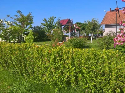 OPG Sefić1