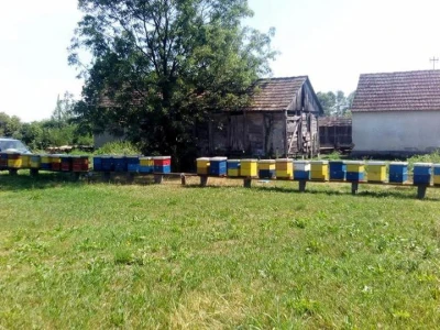 Gagića pčelinjak u Kijevcima