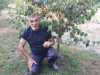 Đuro Pećanac