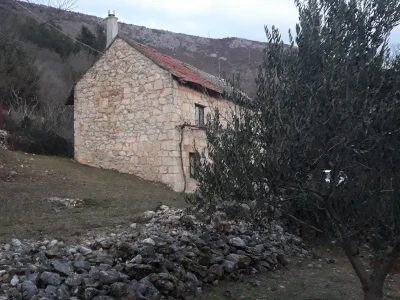 Maslinovo ulje iz Gruda tri godine zaredom osvaja priznanja