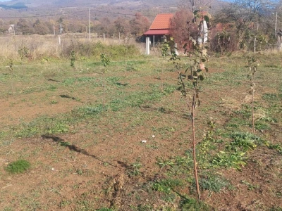 Krečenje voća