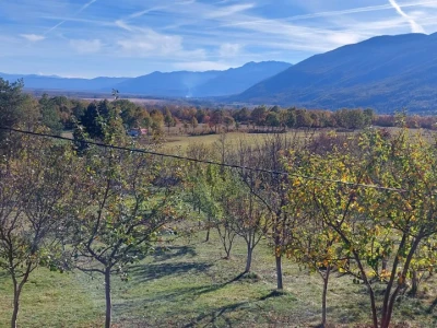 Krečenje voća