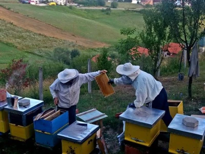 rošić1
