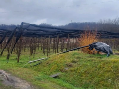 Ranije kretanje vegetacije