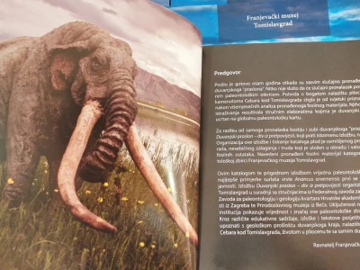 Farma koza Duvno