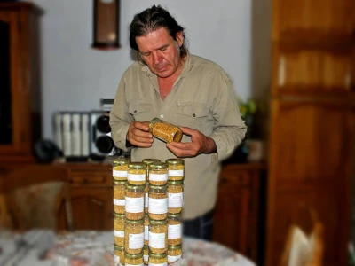 rošić2