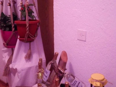 Porodica Vidović - tradicionalni proizvodi