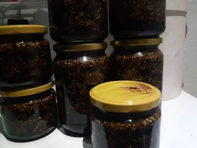 Ne, ja sam rekao da pčelarim od srednje škole. Nisam završio poljoprivrednu nego Gimnaziju. Najveći uticaj na mene i moj najveći mentor bio mi je jadan daljnji kum iz mog sela, Milutin Šokčević, stari