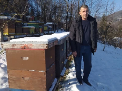 Pčelarenje i ljekovito bilje