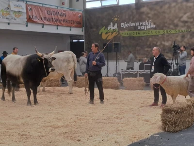 31. Jesenski međunarodni bjelovarski sajam