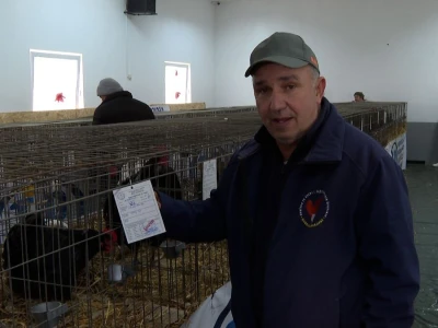 Australop sve popularniji na našem području