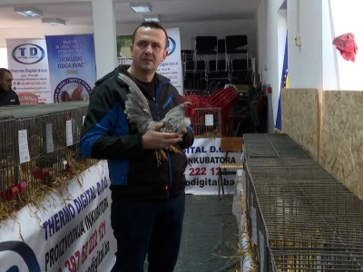 Australop sve popularniji na našem području