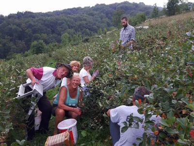 Poljoprivredno gazdinstvo „Aronija- Popović“ iz Banjaluke