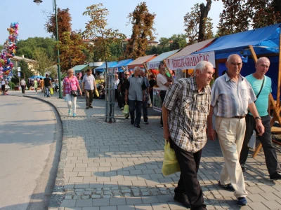 45. Sajam šljive u Gradačcu