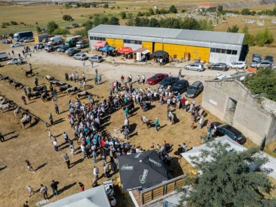 49. Regionalna stočna izložba u Gacku