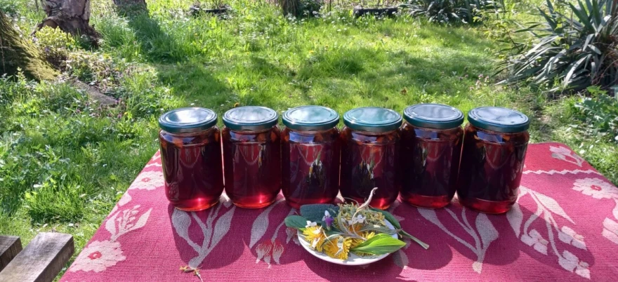 Dragicine đakonije