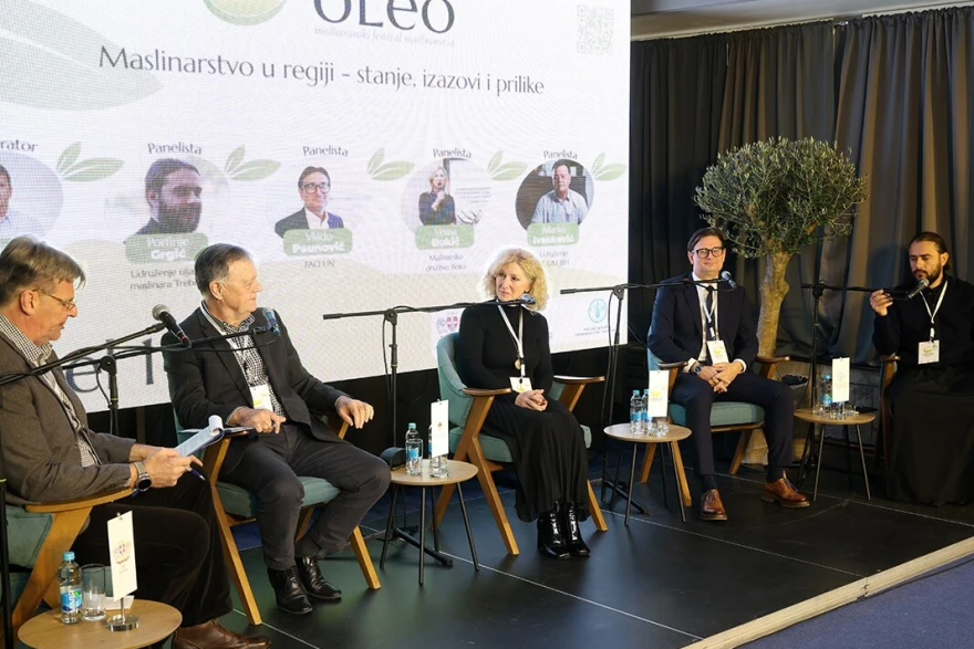 panel diskusija