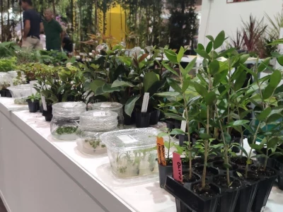 72. Flormart sajam u Padovi