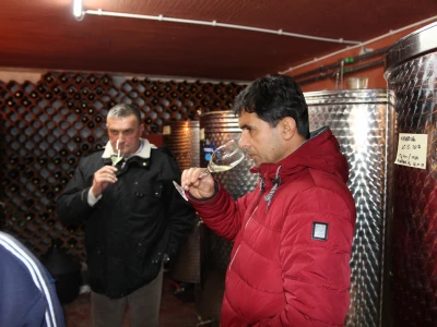 Probanje-vina