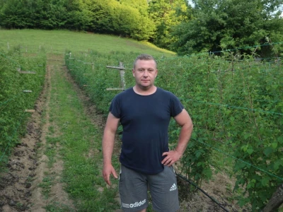 Adnan Merdžić najmalađi proizvodžač maline u srebreničkoj regiji