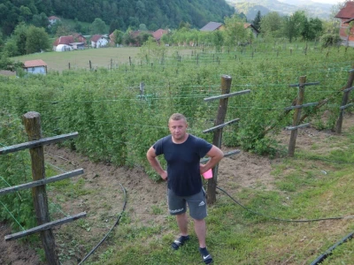 Adnan Merdžić najmalađi proizvodžač maline u srebreničkoj regiji