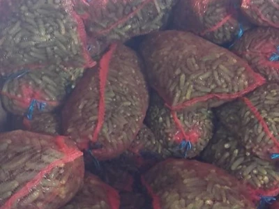 Agro-Velić iz iz Velike Kladuše